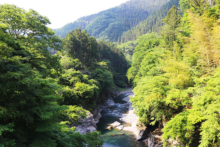 神庭オートキャンプ場