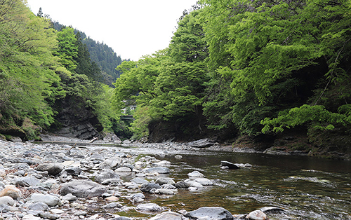 荒川源流で川遊び