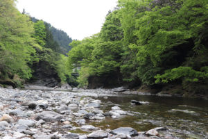 キャンプ場下の河原